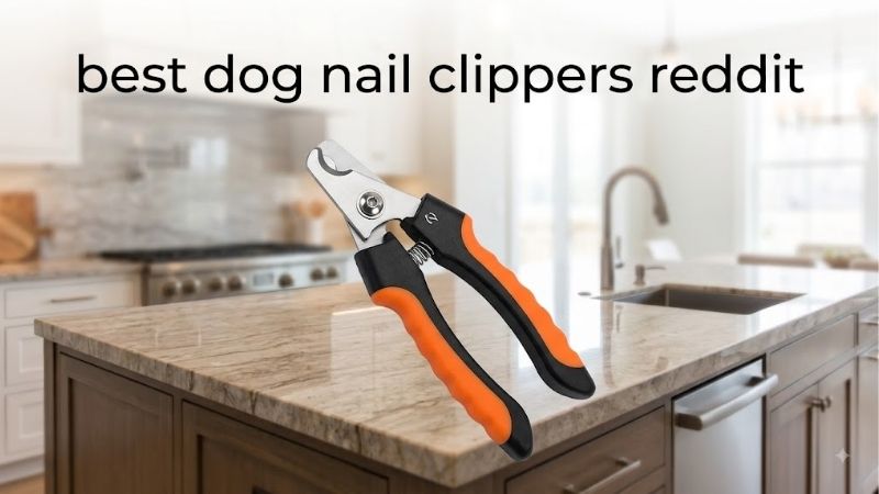 What Best Dog Nail Clippers Reddit Threads Actually Argue About