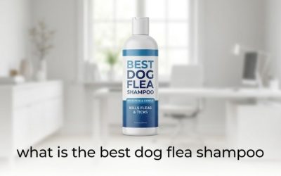 What Is the Best Dog Flea Shampoo? A Full Buyer’s Guide