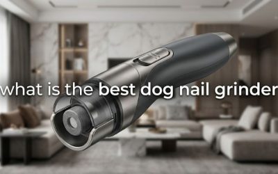 What Is the Best Dog Nail Grinder for At-Home Nail Care?