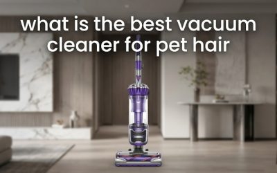 What Is the Best Vacuum Cleaner for Pet Hair? Full Guide