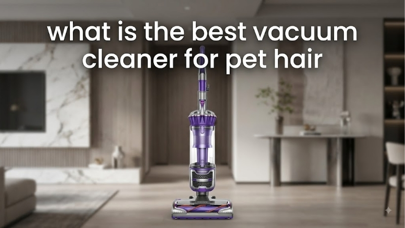 What Is the Best Vacuum Cleaner for Pet Hair?