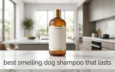 Best Smelling Dog Shampoo That Lasts: Six Long-Hold Picks