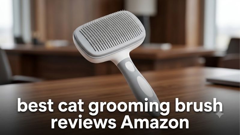 How to Choose a Cat Grooming Brush