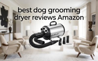 Best Dog Grooming Dryer Reviews Amazon: 2026 Buyer Guide