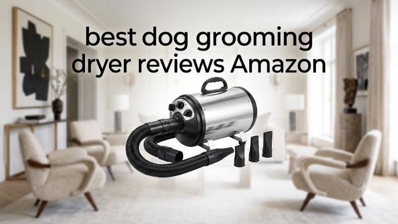 How to Choose a Dog Grooming Dryer