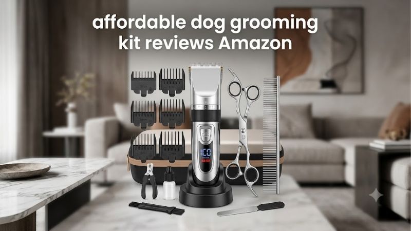 How to Choose an Affordable Dog Grooming Kit
