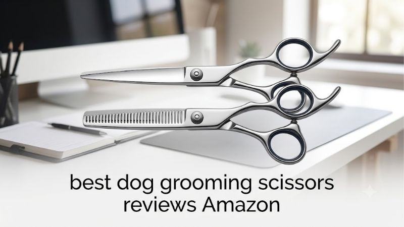How to Choose Dog Grooming Scissors