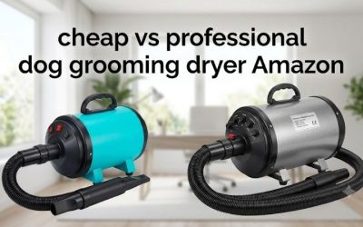 Cheap vs Professional Dog Grooming Dryer Amazon Faceoff