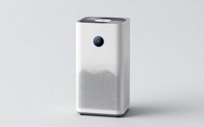Best Air Purifier For Bird Dander