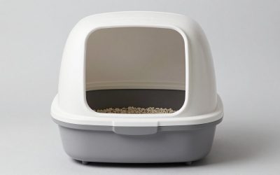 Best Auto Kitty Litter Box Picks for First-Time Owners
