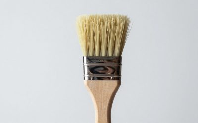 Best brush for a jack russell terrier in 2026
