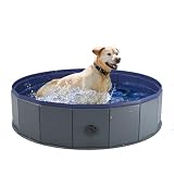 6 Best Dog Bath Tubs for Home (October 2026) Honest Reviews