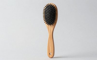 Best Dog Brush for Fall Shedding: 7 Tools by Coat Type