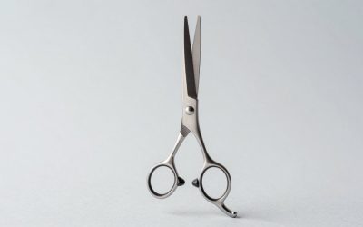 Best Grooming Scissors for Paw Pads in 2026: Compared and Ranked