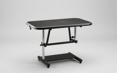 Best Grooming Table for Small Spaces in 2026: Compared and Ranked