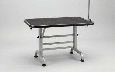 Best Grooming Table under 200 Dollars in 2026: Compared and Ranked
