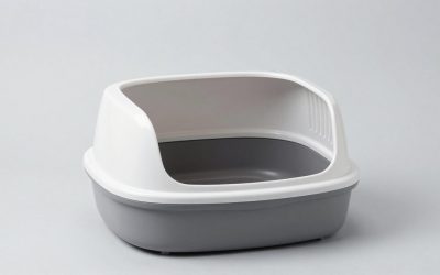 Best Litter Box for Odor Control: Hooded, Steel and Sifting Compared