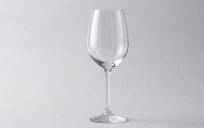 Best Riesling Wine Glasses for White Wine