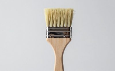 Best Slicker Brush for Samoyed Undercoat in 2026: Compared and Ranked