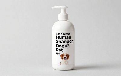 Can You Use Human Shampoo on Dogs? What Vets Say