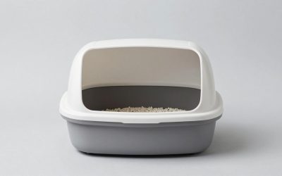 Cat Litter Box for Big Cats: 6 Picks for Fluffy, Heavy Coats