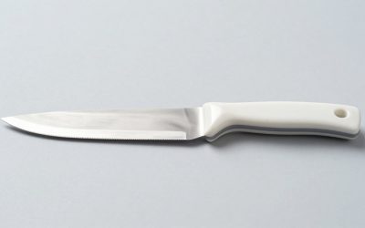 Ceramic Blades vs Steel Blades Dog Clippers: Which Is Right for Your Home (2026)