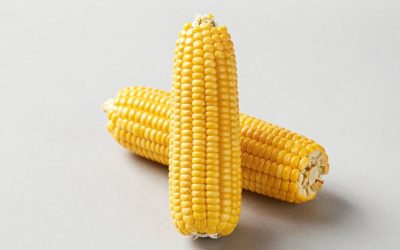 Corn Corn Corn Sahur Guide: Gameplay and Progression Tips