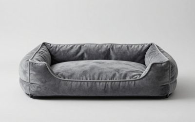 Extra Large Dog Beds on Clearance: How to Buy One That Lasts