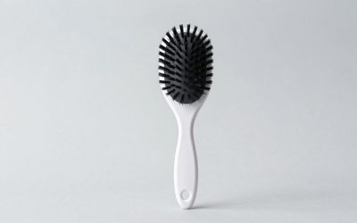 How to Clean a Slicker Brush (2026): Step-by-Step
