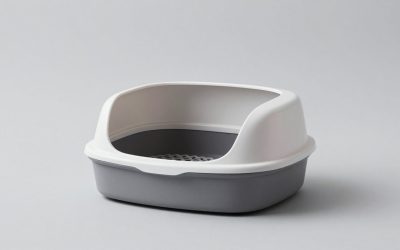 Litter Box for Puppies: Indoor Potty Trays Worth Considering